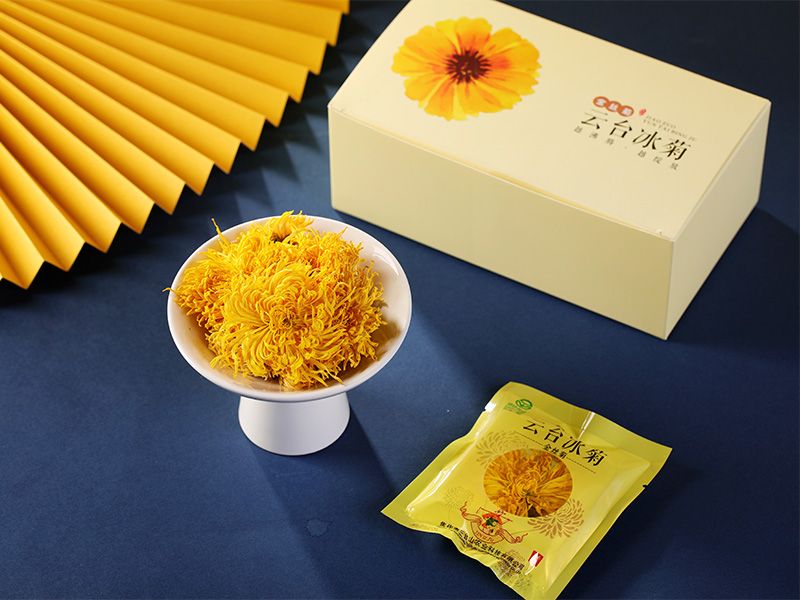 云臺(tái)冰菊金絲菊